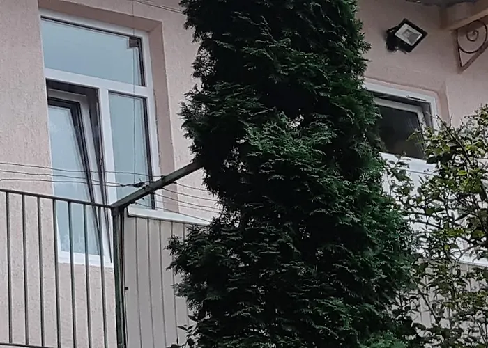 Transfer Apartmán Lvov