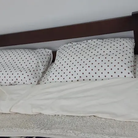 Transfer * 利沃夫