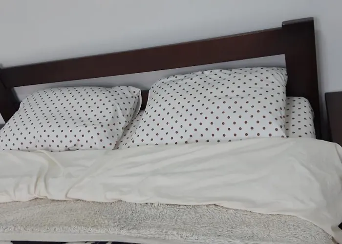 Transfer * リヴィウ