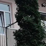 Transfer Lägenhet Lviv